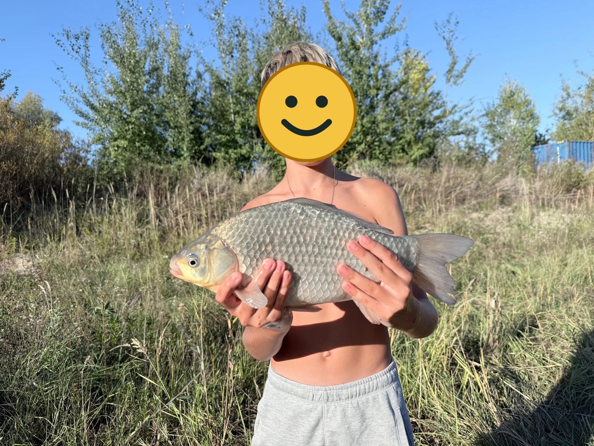 Karaś srebrzysty — 1,56 kg