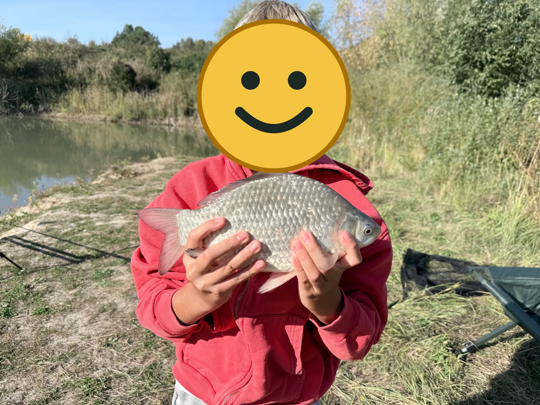 Karaś srebrzysty — 1,24 kg